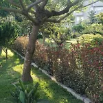 Dom wakacyjny Casa Barranqueiro *