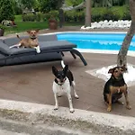 Casa Barranqueiro Dom wakacyjny Vilaboa