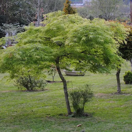 Casa Barranqueiro Holiday home