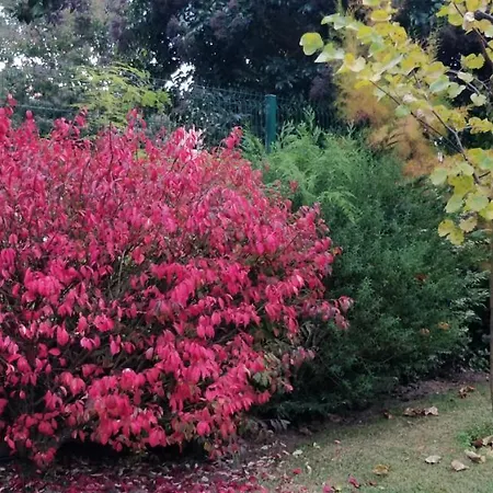Casa Barranqueiro Casa de Férias *