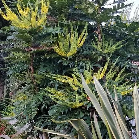 Holiday home Casa Barranqueiro *