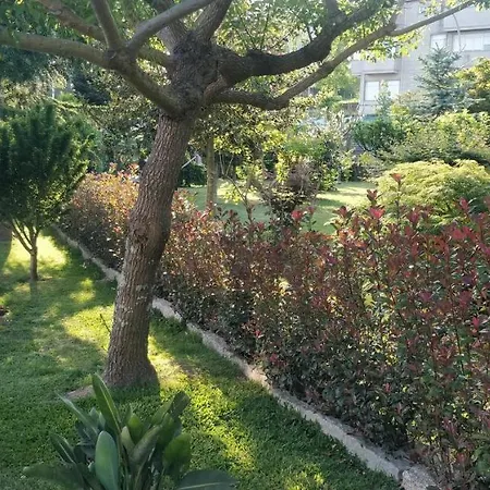 Nyaraló Casa Barranqueiro *
