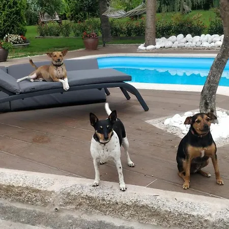 Casa Barranqueiro Nyaraló Vilaboa