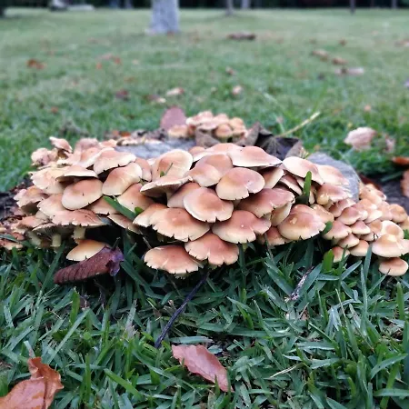 Casa Barranqueiro Holiday home Vilaboa