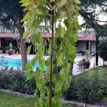 Casa Barranqueiro *