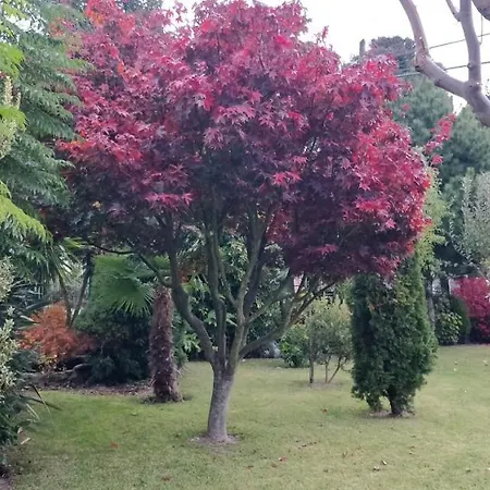 Casa Barranqueiro Nyaraló *