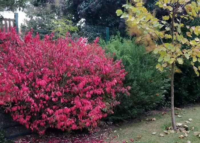 Casa Barranqueiro 度假居 *