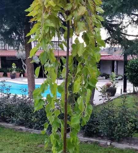 Casa Barranqueiro *